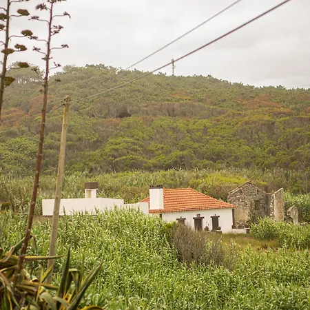 Panorama Seaview House بيت للعطل مارينها غراندي