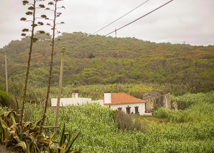 Panorama Seaview House Сasa de vacaciones Marinha Grande